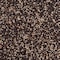 Wild Delight Wild Delight Cardinal Sunflower Seeds Wild Bird Food 15 lb 376150 - alternate 2